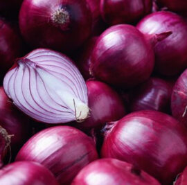 onion2