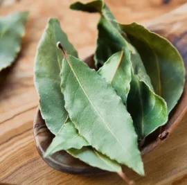 bay-leaves-leaf-herb-1296x728-header