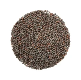 black-mustard-seed-500x500