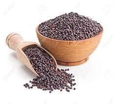 mustard-seeds-250x250