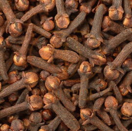 world-of-cloves